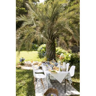 Photo Tour & Gourmet Picnic – Nordeste, São Miguel Azores