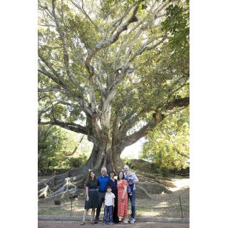Private Photo Session in Ponta Delgada | São Miguel, Azores